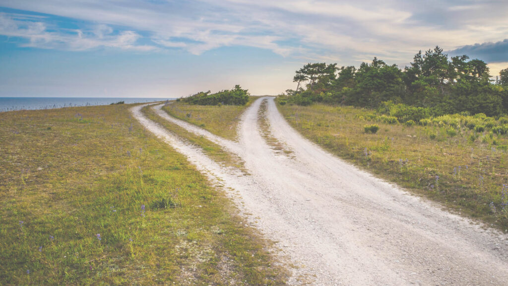 Forked dirt road splitting into two paths, representing different strategic choices.